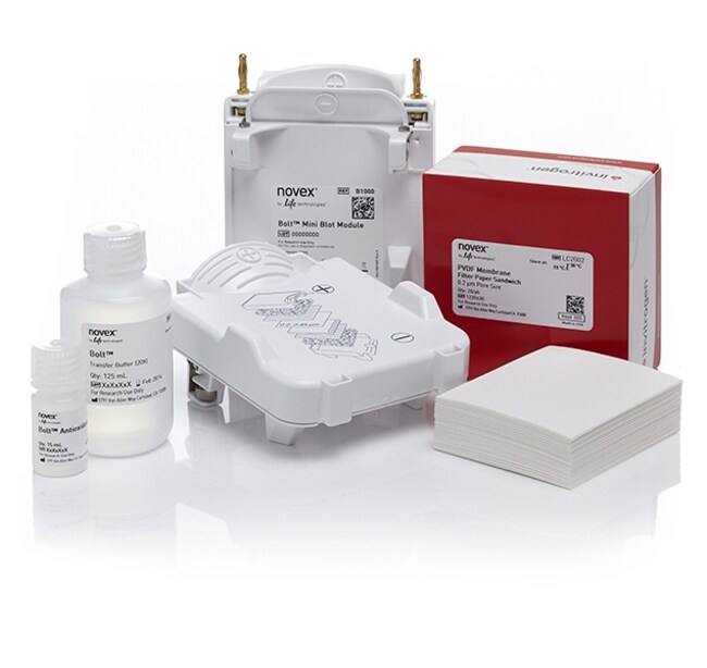 Bolt&trade; 蛋白质印迹套装 B (PVDF)