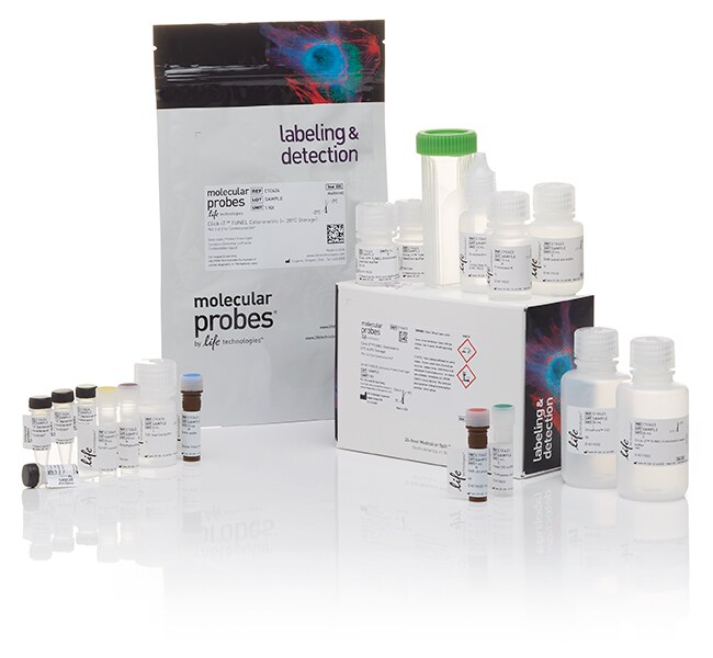 Click-iT&trade; TUNEL 比色 IHC 检测试剂盒