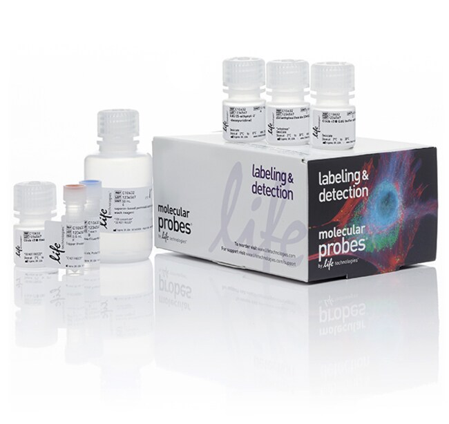 Click-iT&trade; Plus EdU Alexa Fluor&trade; 488 流式细胞分析试剂盒