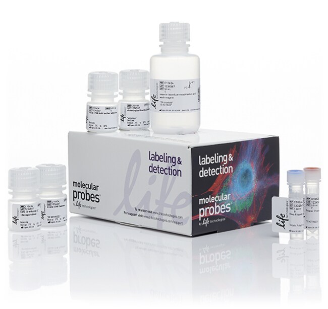 Click-iT&trade; Plus EdU Alexa Fluor&trade; 647 Flow Cytometry Assay Kit, 50 rxn(s)