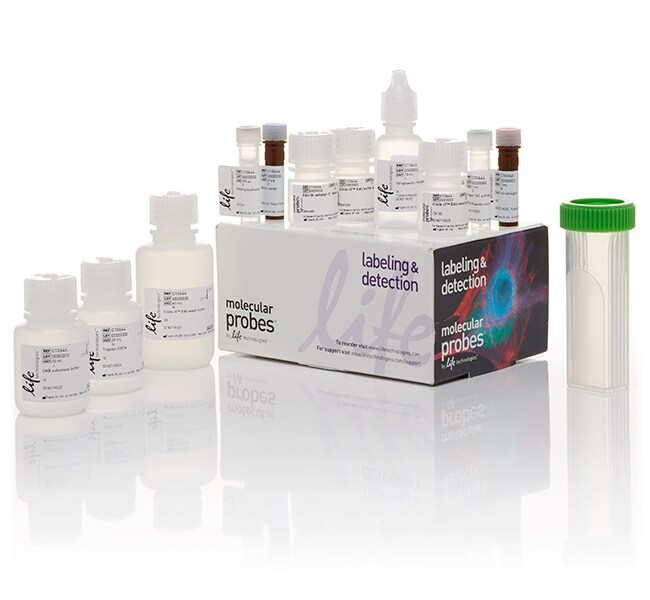 Click-iT&trade; EdU 比色免疫组织化学技术检测试剂盒