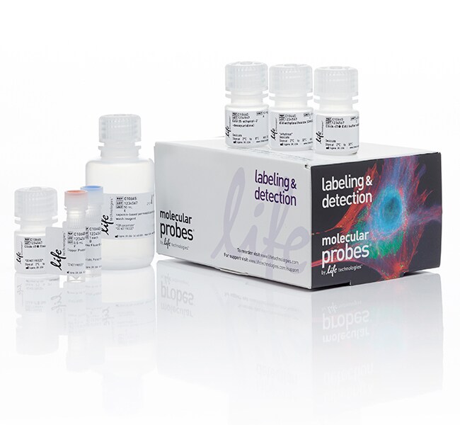 Click-iT&trade; Plus EdU Alexa Fluor&trade; 350 Flow Cytometry Assay Kit