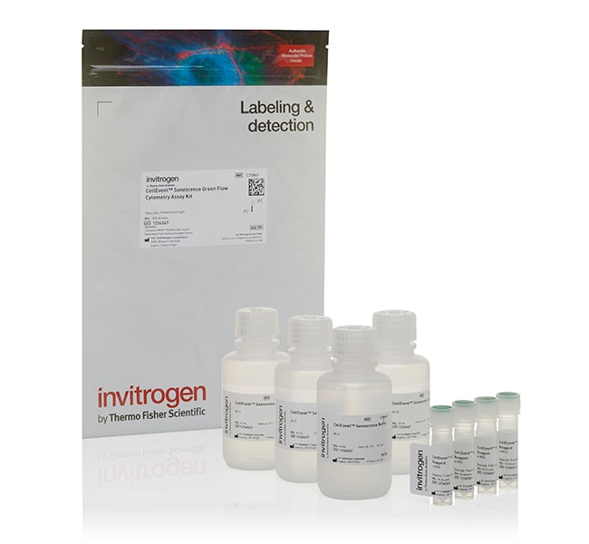 CellEvent™ Senescence Green 流式细胞分析试剂盒
