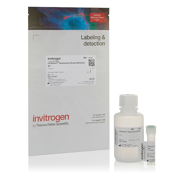 CellEvent&trade; 细胞衰老绿色检测试剂盒