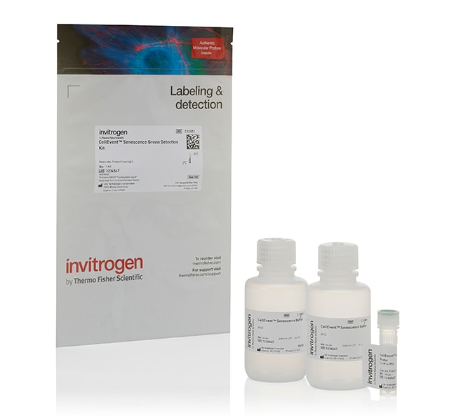 CellEvent&trade; 细胞衰老绿色检测试剂盒