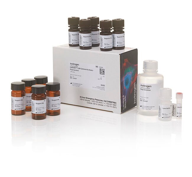 CyQUANT&trade; LDH Cytotoxicity Assay, fluorescence