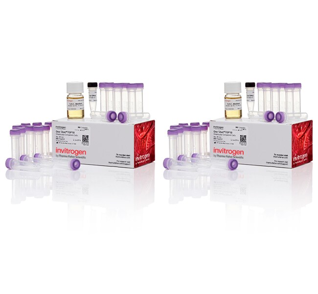 One Shot&trade; TOP10 化学感受态<i>大肠杆菌</i>