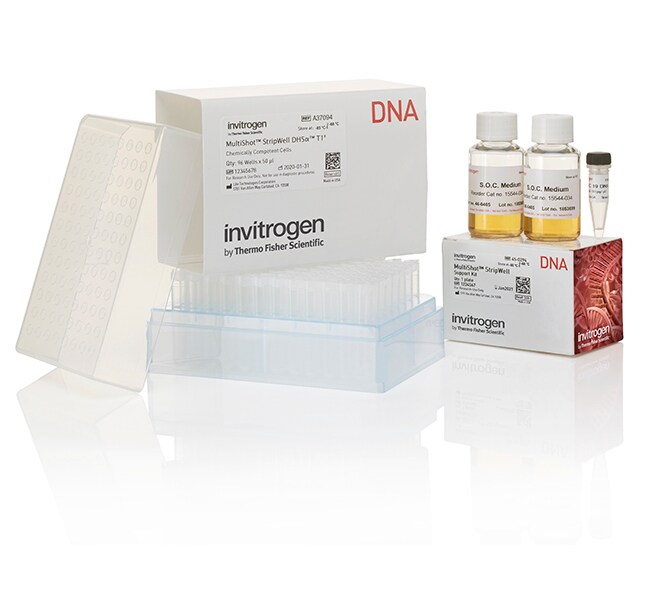 MultiShot&trade; StripWell DH5&alpha; T1<sup>R</sup> Competent Cells
