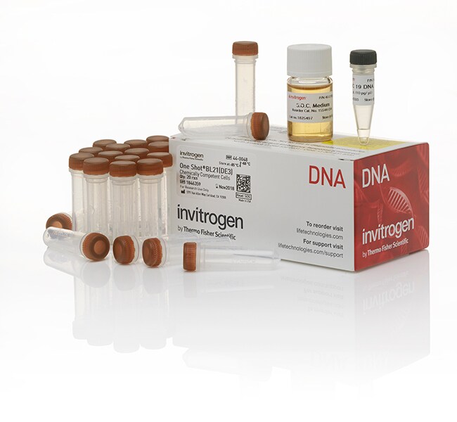 One Shot&trade; BL21(DE3) Chemically Competent <i>E. coli</i>