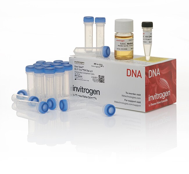 BL21 Star&trade; (DE3)pLysS One Shot&trade; Chemically Competent <i>E. coli</i>
