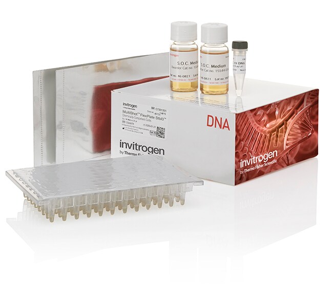 MultiShot&trade; FlexPlate Stbl3&trade; 感受态细胞