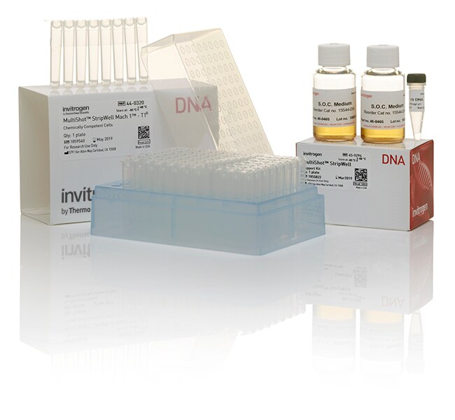 MultiShot&trade; StripWell Mach1&trade; T1 Phage-Resistant Chemically Competent <i>E. coli</i>