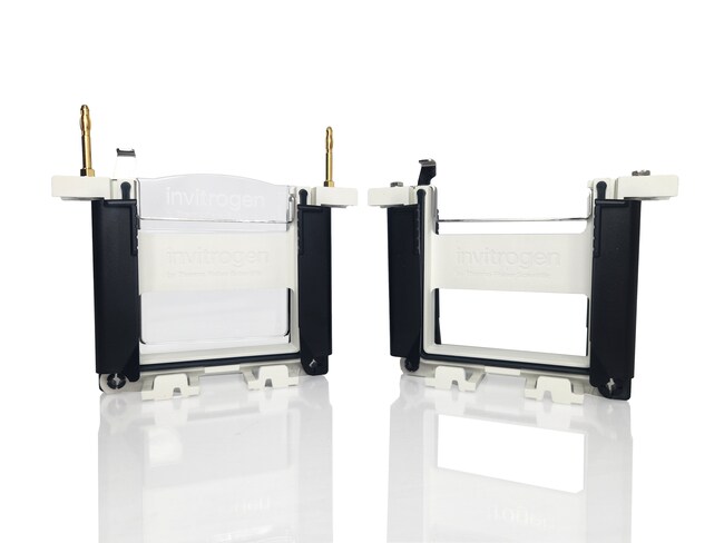 Tetra Electrophoresis Core Set