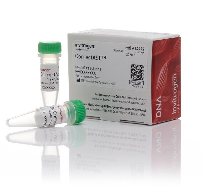 CorrectASE™ Enzyme
