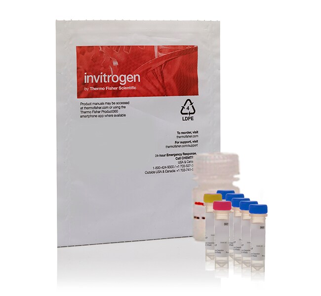 EnzChek&trade; Gelatinase/Collagenase Assay Kit, 250-2,000 assays