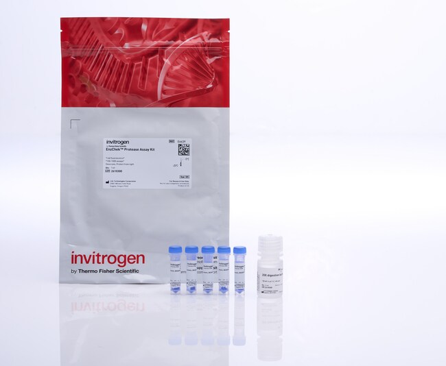 EnzChek&trade; 蛋白酶检测试剂盒，红色荧光，100-1000 次检测