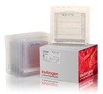 Novex&trade; TBE Gels, 20%