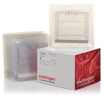 Novex&trade; TBE Gels, 20%