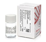 TheraPure&trade; GMP Pyrophosphatase, inorganic, 0.1 U/&mu;L