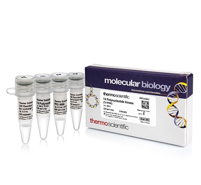 T4 多聚核苷酸激酶 (10 U/&mu;L)
