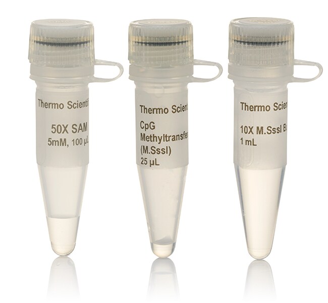 CpG 甲基转移酶 (M.SssI)