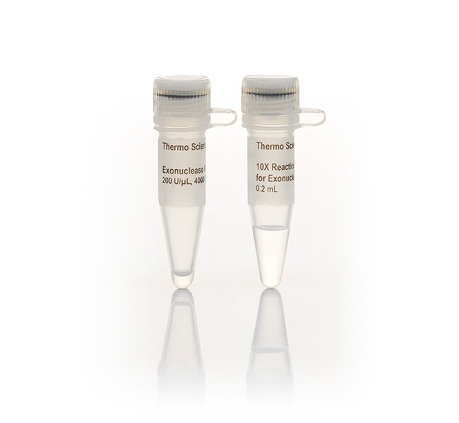 Exonuclease III (200 U/&mu;L)