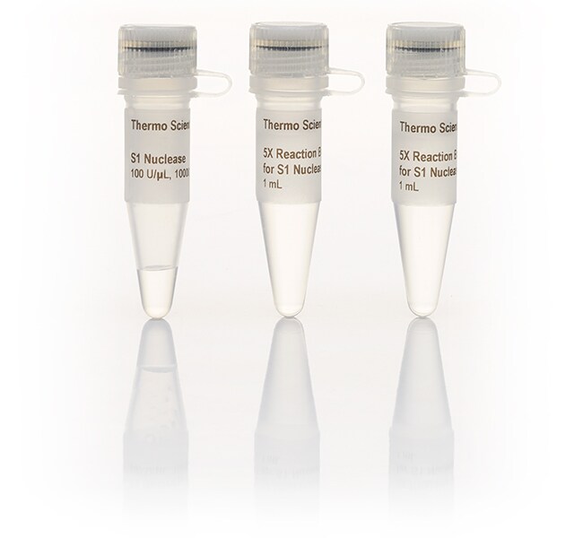 S1 核酸酶 (100 U/&mu;L)