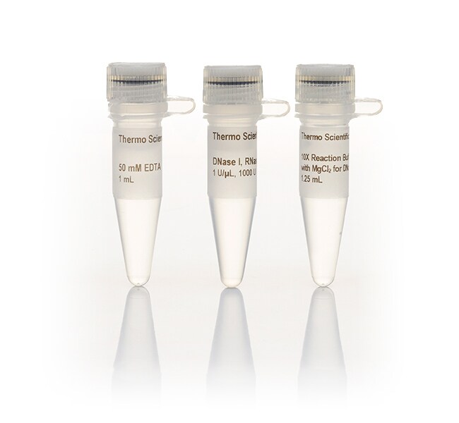 DNase I, RNase-free (1 U/&mu;L)