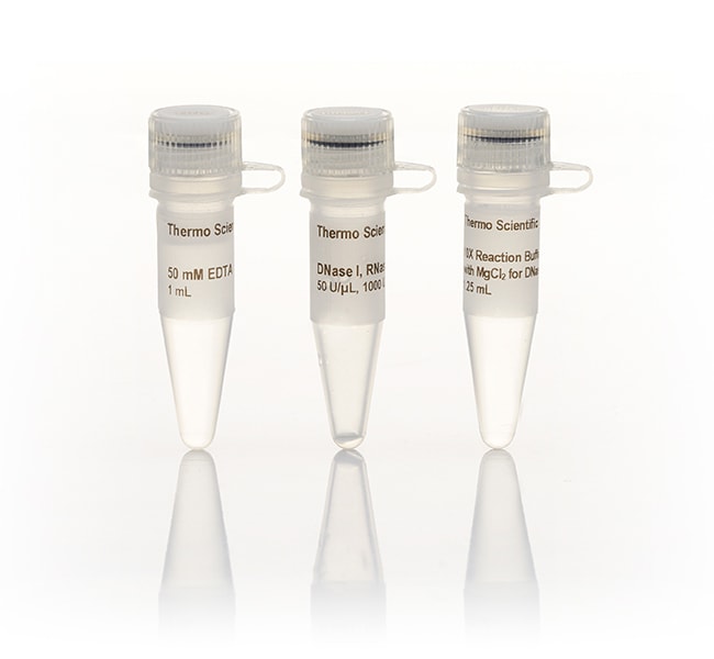 DNase I，无 RNase，HC (50 U/&mu;L)