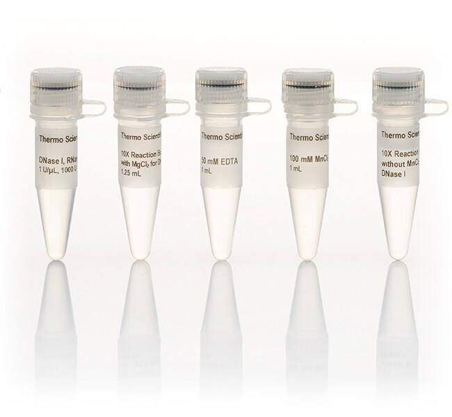 DNase I（无 RNase）（与 MnCl2 一同提供）(1 U/&mu;L)