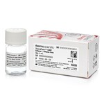 TheraPure&trade; GMP DNase I（无 RNase），50 U/&mu;L
