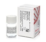 TheraPure&trade; GMP DNase I（无 RNase），50 U/&mu;L