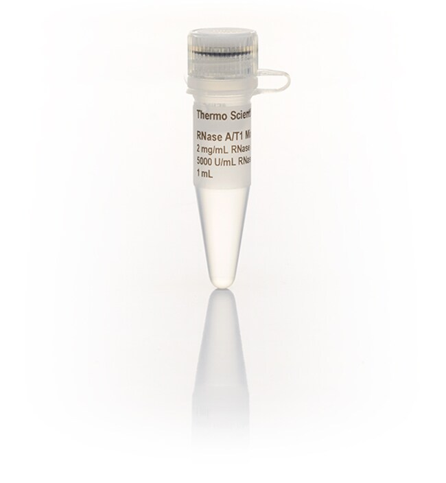 RNase A/T1 混合物