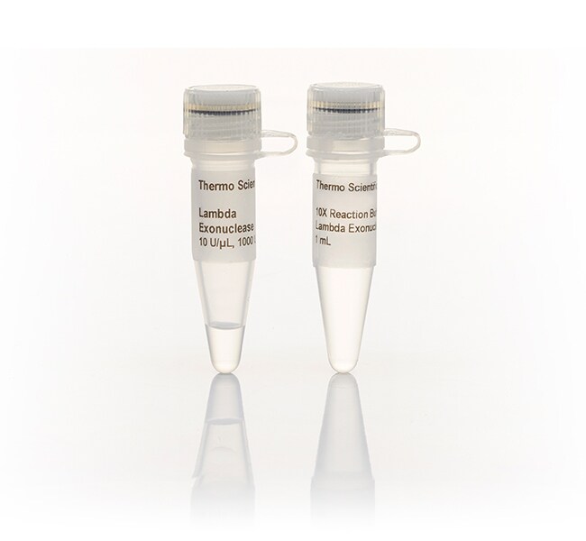 &lambda; 核酸外切酶 (10 U/&mu;L)