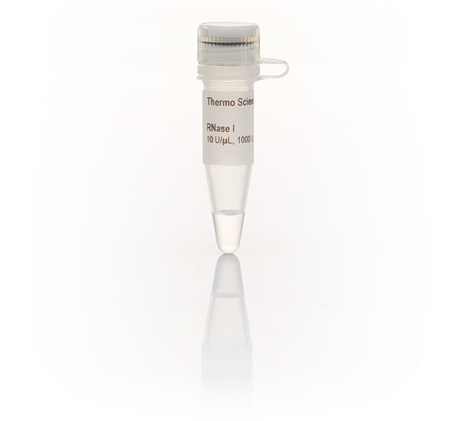 RNase I (10 U/&mu;L)