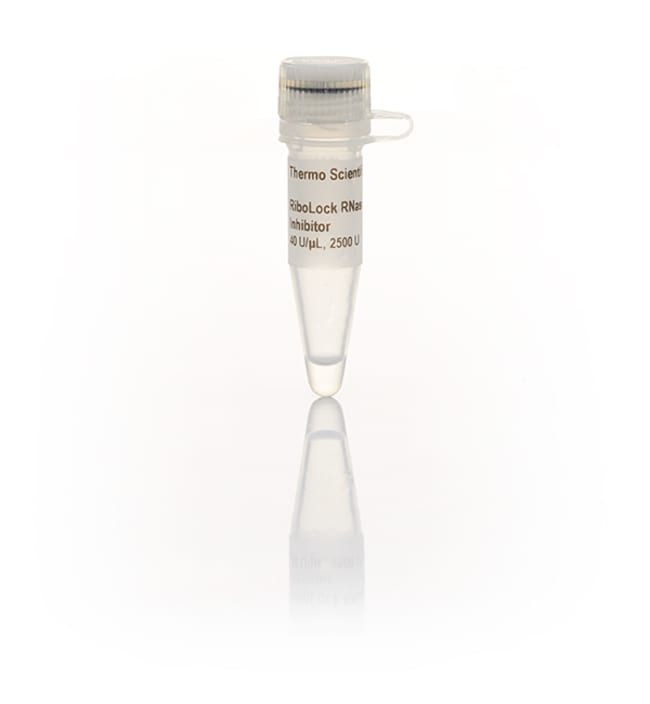 RiboLock RNase 抑制剂 (40 U/&mu;L)