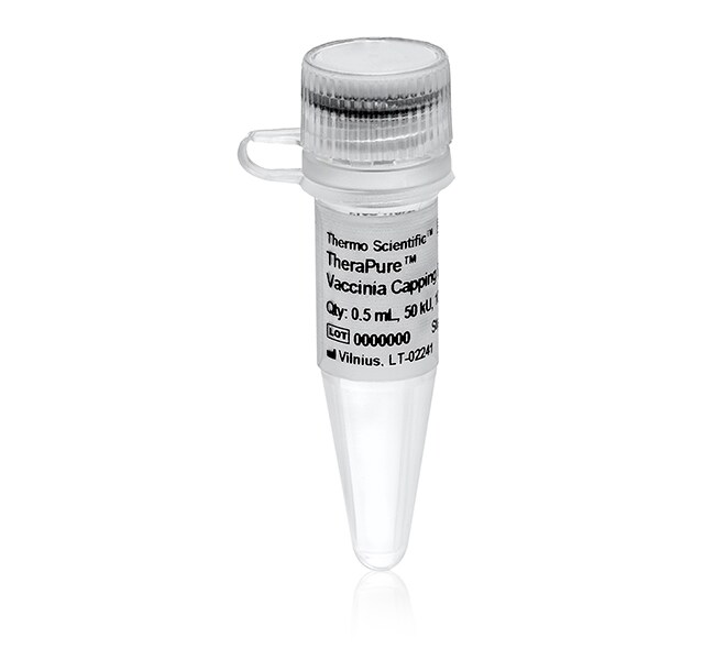 TheraPure™ Vaccinia Capping Enzyme (100 U/μL)