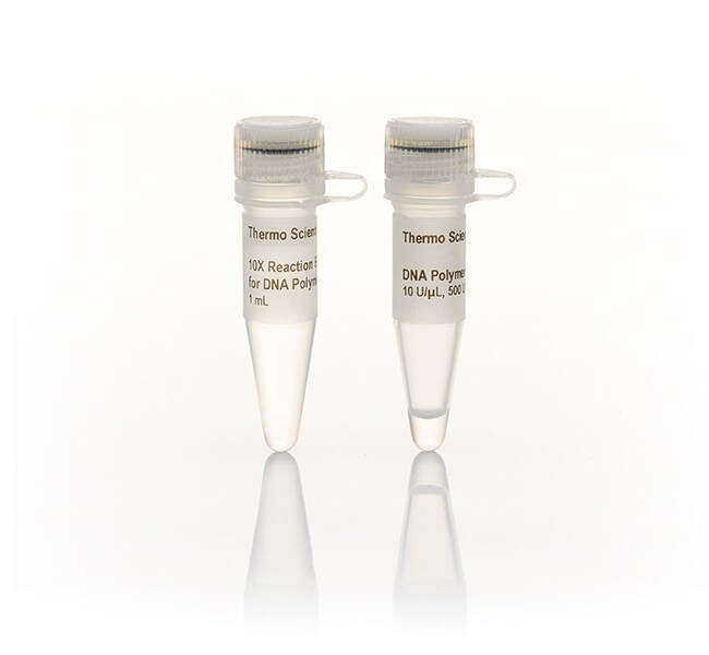 DNA 聚合酶 I (10 U/&mu;L)