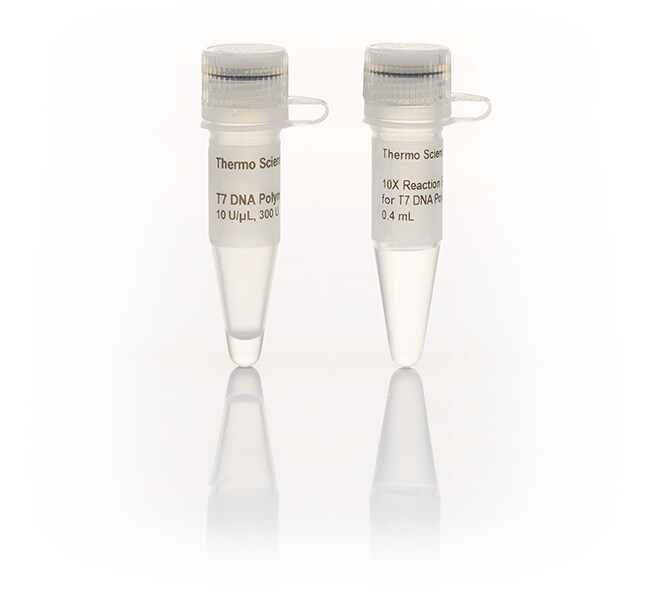 T7 DNA 聚合酶 (10 U/&mu;L)
