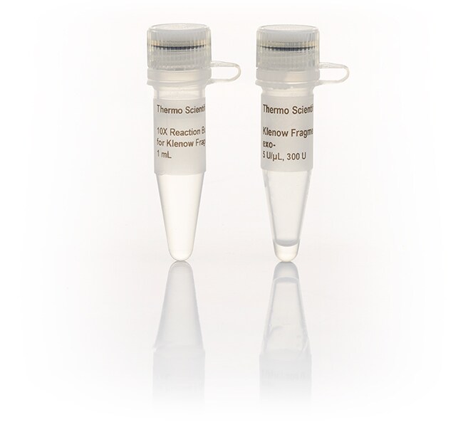 Klenow 片段 (exo&ndash;) (5 U/&mu;L)