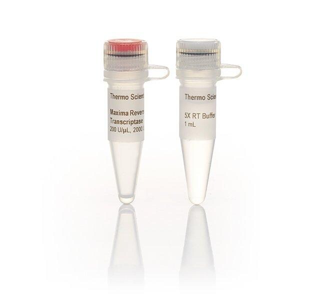 Maxima Reverse Transcriptase (200 U/&mu;L)