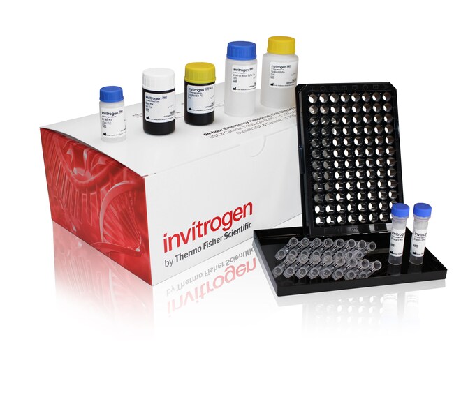 ProcartaPlex™ Human Akt Pathway Panel (phospho), 8plex