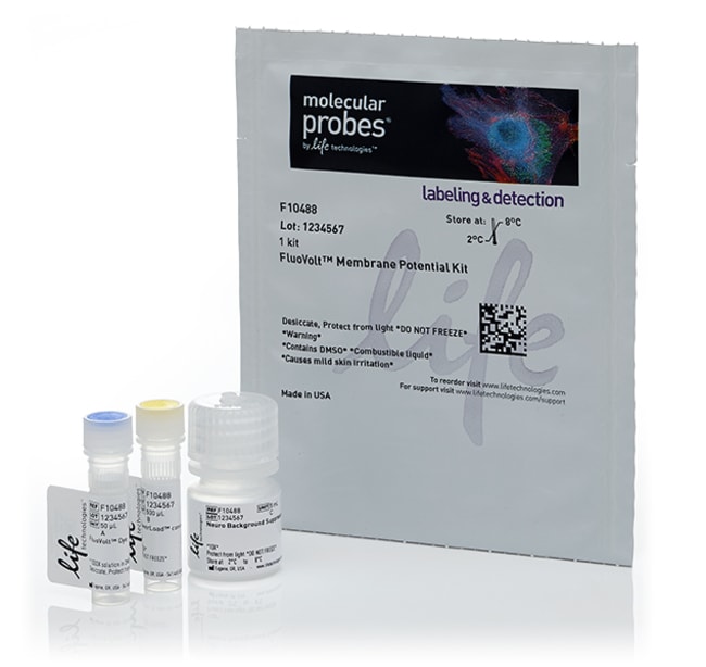 FluoVolt&trade; Membrane Potential Kit