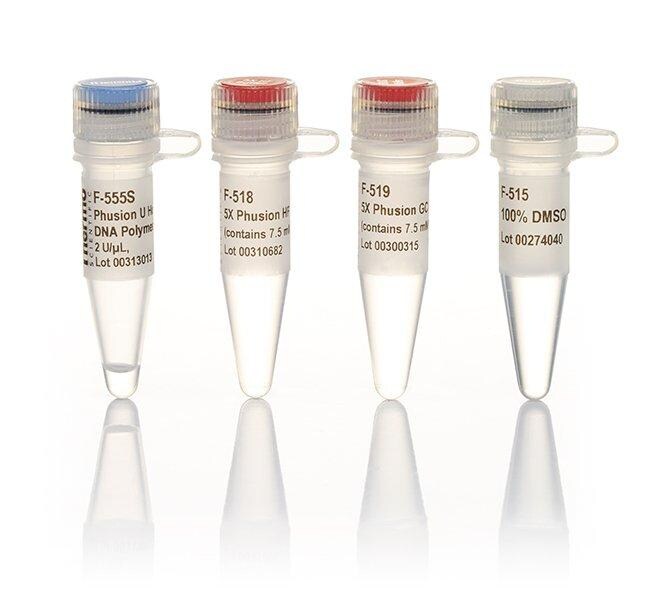 Phusion U 热启动 DNA 聚合酶