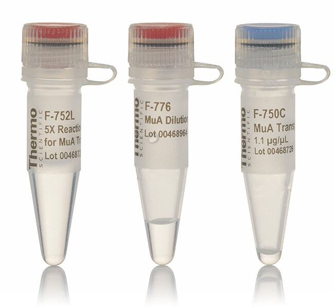 MuA 转座酶（浓缩液）