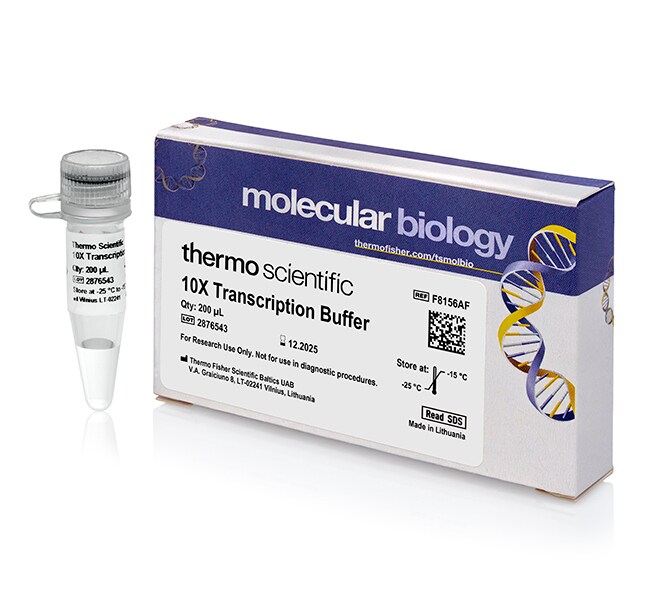 Buffers for RNA Transctription and Post-Transcriptional Modifications
