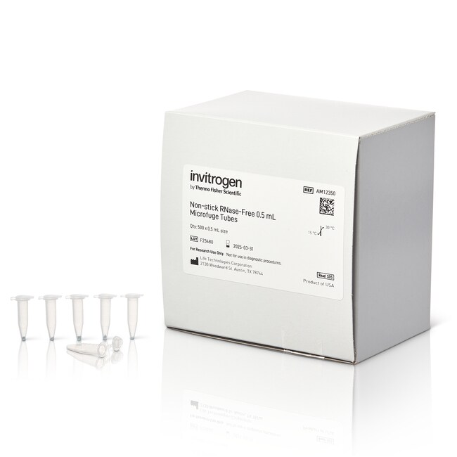 不含 RNase 的微量离心管