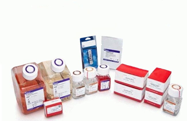 Freedom&trade; DG44 Kit