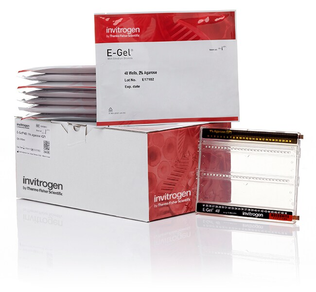 E-Gel&trade; 48 琼脂糖凝胶，内含 SYBR&trade; Safe DNA 凝胶染色剂，4%