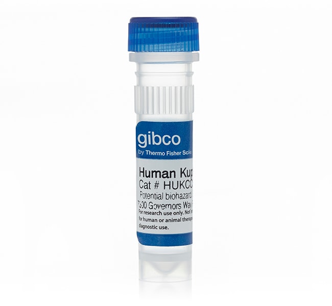 Cryopreserved Human Kupffer Cells